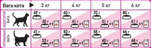 מזון יבש בוגרים אקסיג'נט פאסי 4 ק