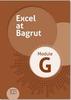 אקסל את בגרות מודול ג'י - EXCEL AT BAGRUT MODLE G