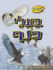 שאלות ותשובות בעלי כנף (יד 2)