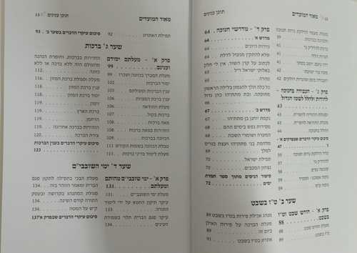 מאור המועדים חלק ב' - חנוכה, שובבי