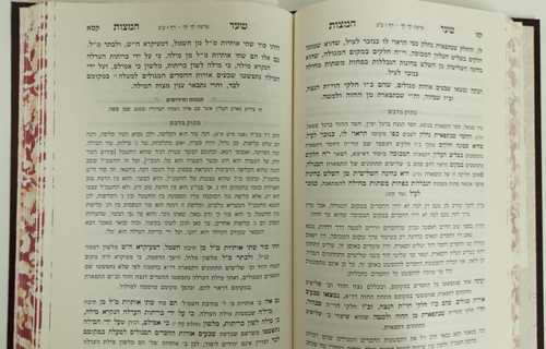 שער המצות ע