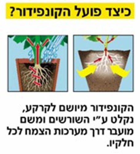 קונפידור 15 סמ