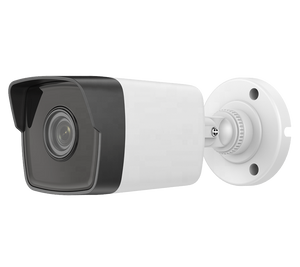 מצלמת מיני צינור DS-2CD1053G0-I