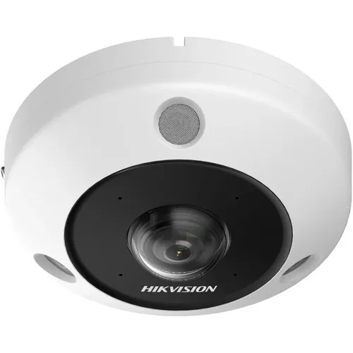 מצלמת עין הדג DS-2CD63C5G1-IVS
