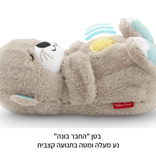 לוטרה מרגיעה