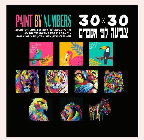 דפים צביעה לפי מספרים 30*30 -10 דף