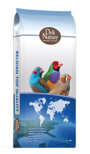 קוד 56 - תערובת פינקים