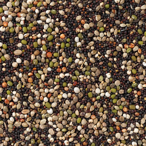 82 - זרעי הנבטה לכנריות