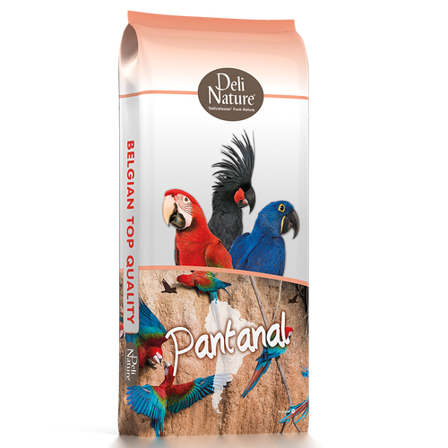 23 - תוכים פנטנל