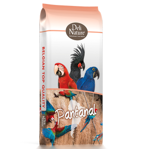 23 - תוכים פנטנל