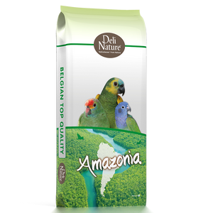 22 - תוכים אמזוניה