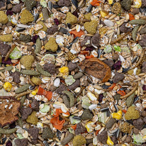 RamuX Elite Pellet – רמוקס עלית כופתיות