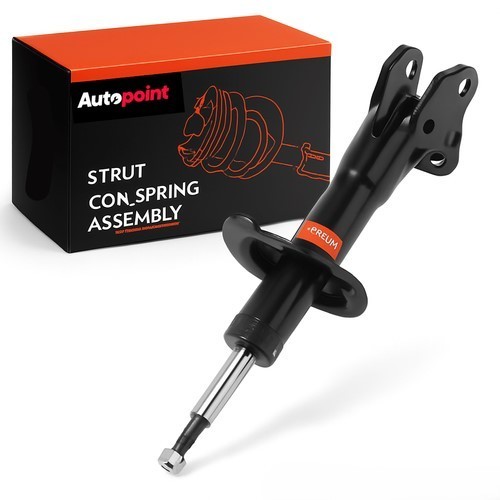 בולם אמר קרוז קדר מ13 עד15