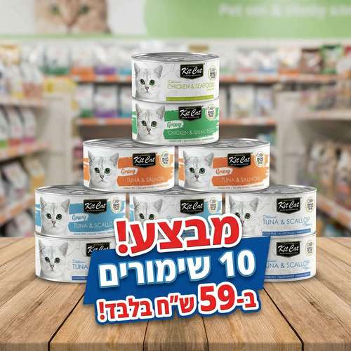 10 שימורי קיט- קט 70 גרם ב59