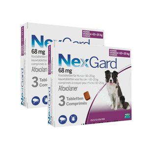 זוג נקסגארד כדור נגד פרעושים וקרציות 10-25 ק"ג NexGard תוקף 07/28