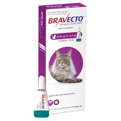 ברבקטו לחתולים 6.25 – 12.5 ק”ג Bravecto for cats – תוקף 10/27