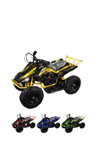 טרקטורון ממונע XTR250 24V