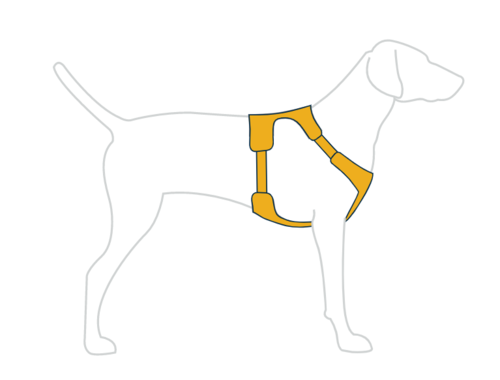 רתמת Ruffwear