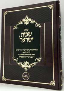 שו"ת שבות ישראל חלק ב
