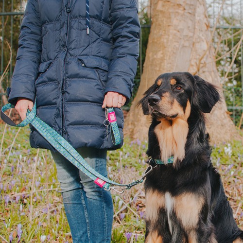 Max & Molly Retro Blue