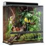 אקזוטרה - טרריום גדול גובה 90 ס