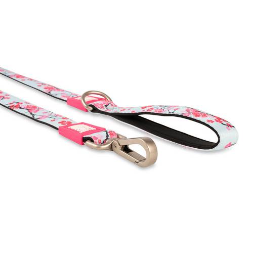 Max & Molly Cherry Blossom leash