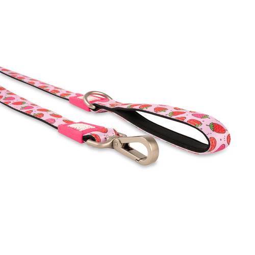 Max & Molly Strawberry Dream leash