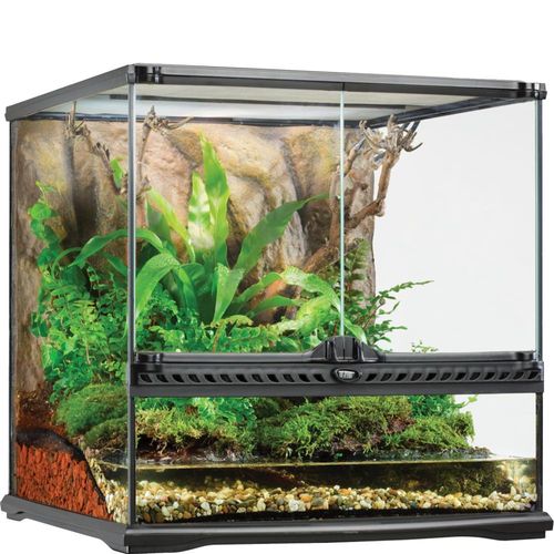 אקזוטרה, טרריום מיני-רחב 30x30x30 לזוחלים