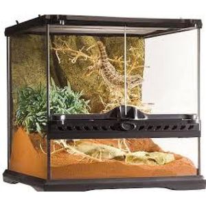 אקזוטרה, טרריום קטן רחב 45x45x45 