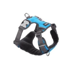 רדינגו רתמת עבודה לכלב  XL