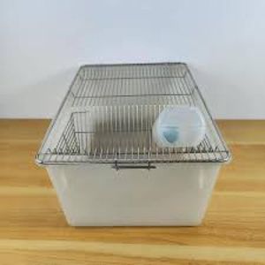 קופסת מעבדה לגידול חולדות