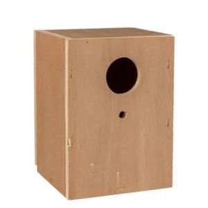 בית הטלה לתוכון אנגלי