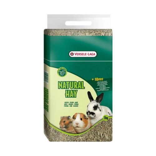 אספסת ורסלה לגה 1 ק