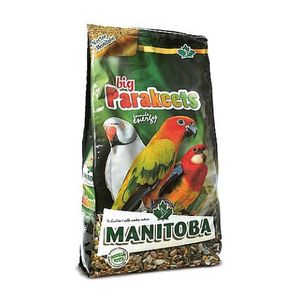 מניטובה אנרג