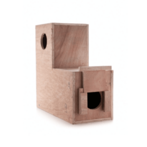 בית הטלה לורי\סנגל\קאיק עץ בירץ