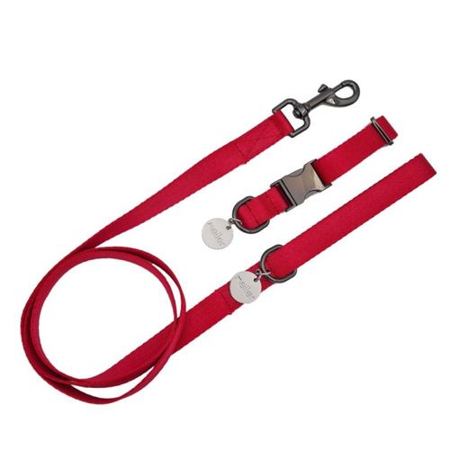 Meiler סט מגיע עם קולר ורצועה תואמים M