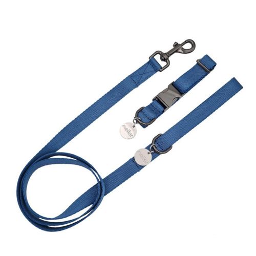 Meiler סט מגיע עם קולר ורצועה תואמים L