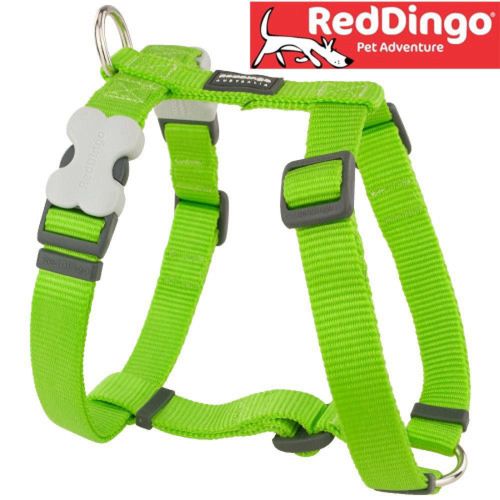 רתמת רדינגו לכלב S