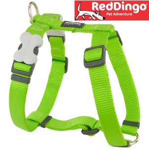 רתמת רדינגו לכלב S