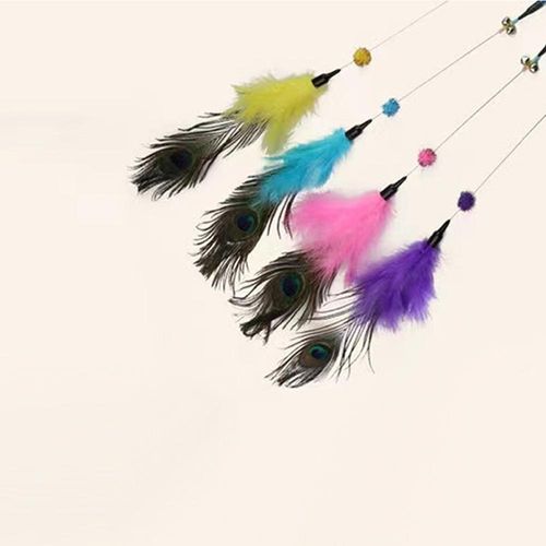 נוצה על מקל לחתול