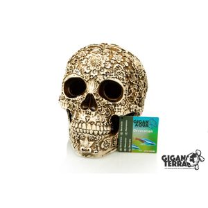 דקורציה גולגולת עם חריטות פרחים