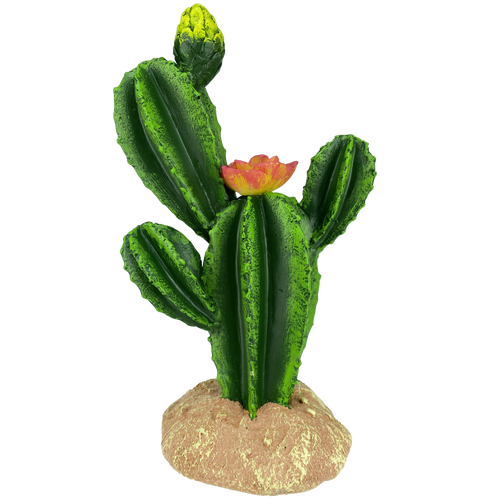 דקורציה קקטוס פרחים 22.5 ס