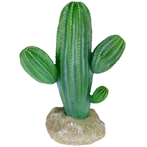 דקורציה קקטוס גדול