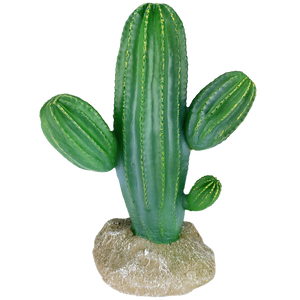 דקורציה קקטוס גדול