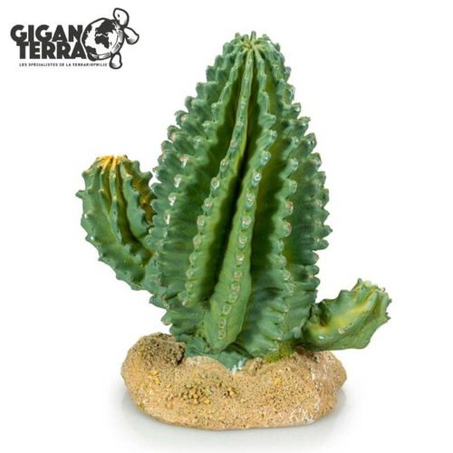 דקורציה קקטוס