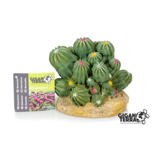 דקורציה קקטוס צבעוני