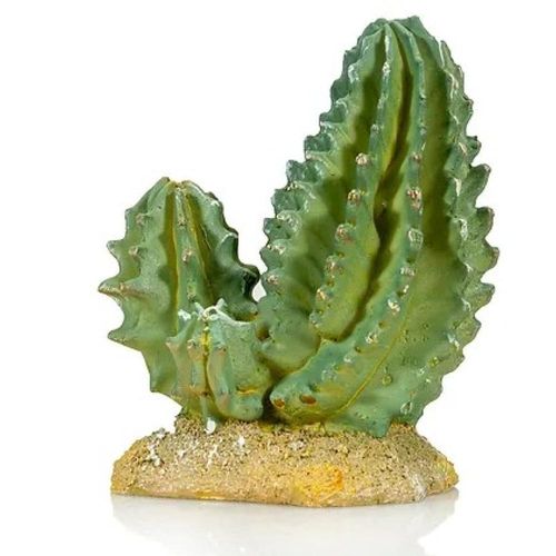 דקורציה קקטוס