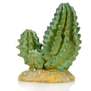 דקורציה קקטוס