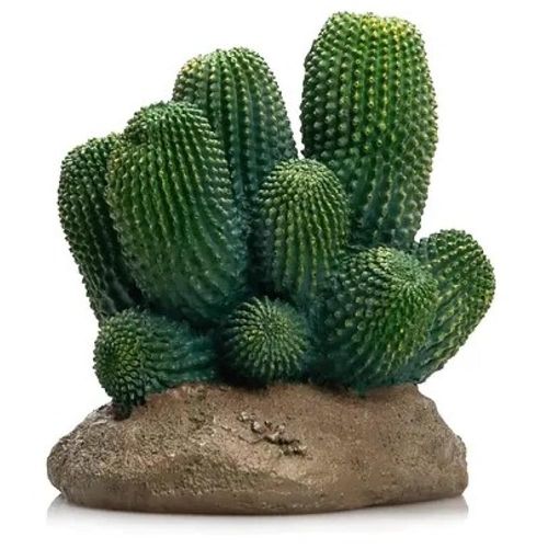 דקורציה קקטוס