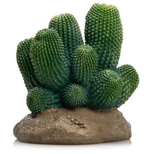 דקורציה קקטוס